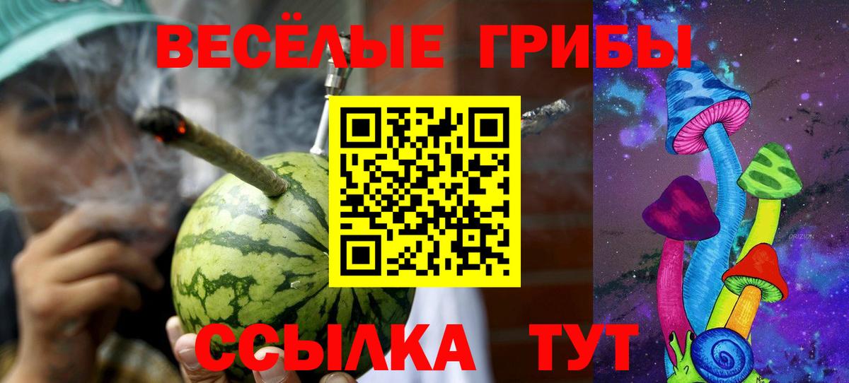 Каменка  Псилоцибиновые грибы мухоморы  Вход с VPN 